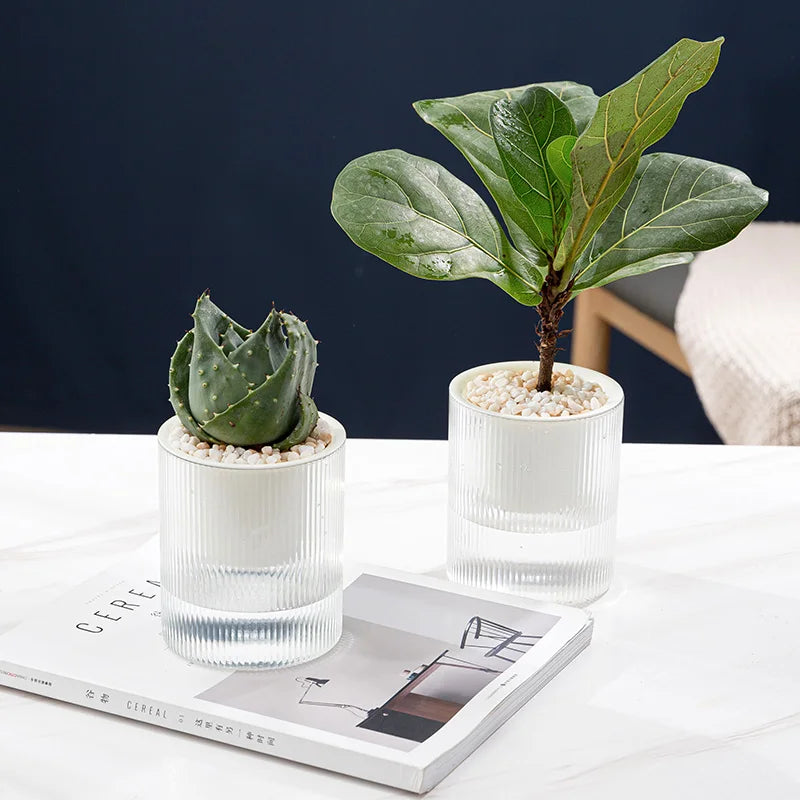 BRICE 4 Inch Plant Pot Garden Automatic Absorbing Water Self Watering Planter Small the Lazy Plastic Self Watering Pot