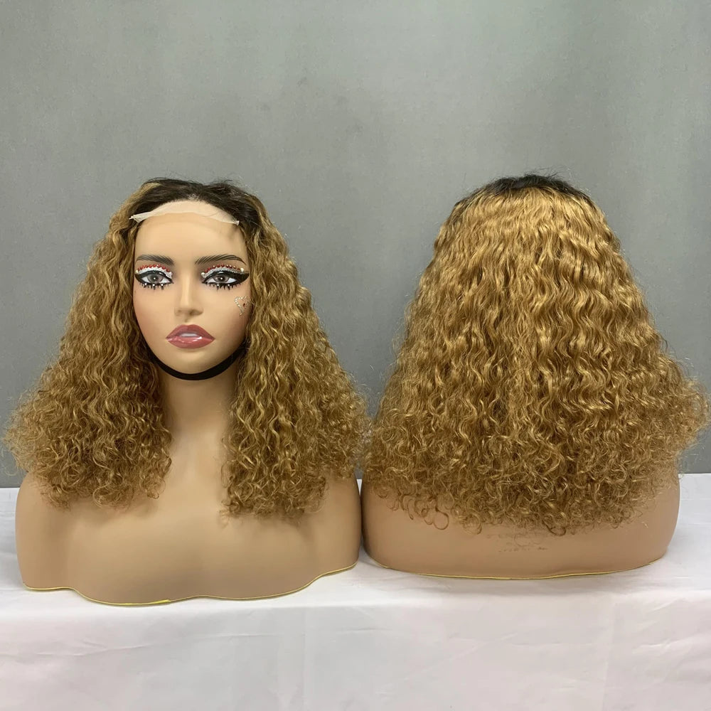 Promotion Price #T4304 Super Double Drawn Verified Suppliers for Human Hair Wigs,14Inch Ombre Luxury Curl 4X4 Lace Closure Wigs