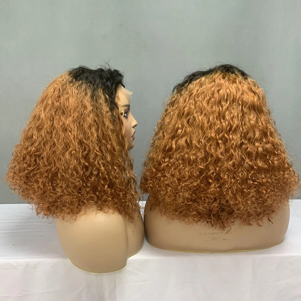 Promotion Price #T4304 Super Double Drawn Verified Suppliers for Human Hair Wigs,14Inch Ombre Luxury Curl 4X4 Lace Closure Wigs